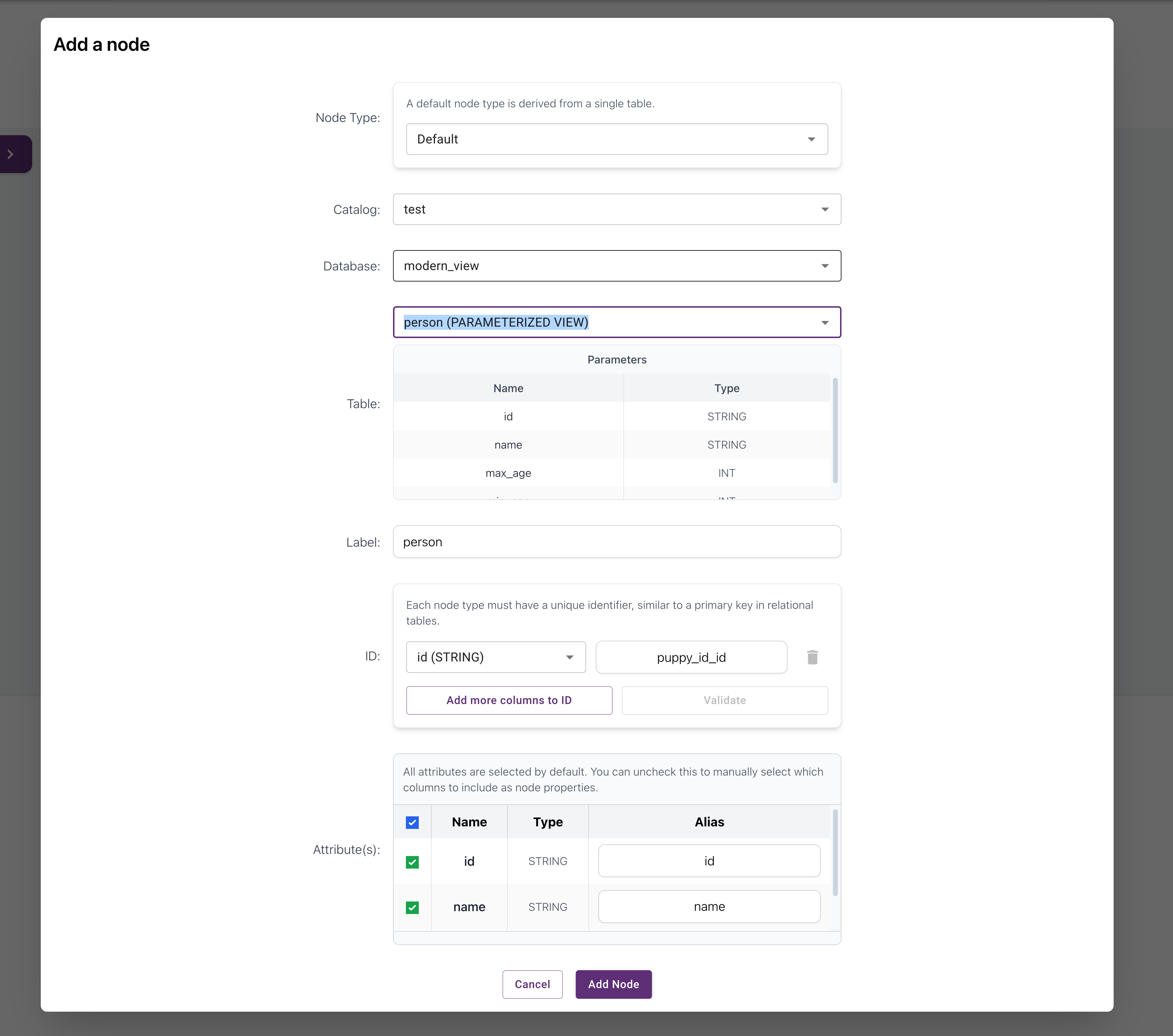 Schema Builder screen showing configuration of the person vertex from the person view
