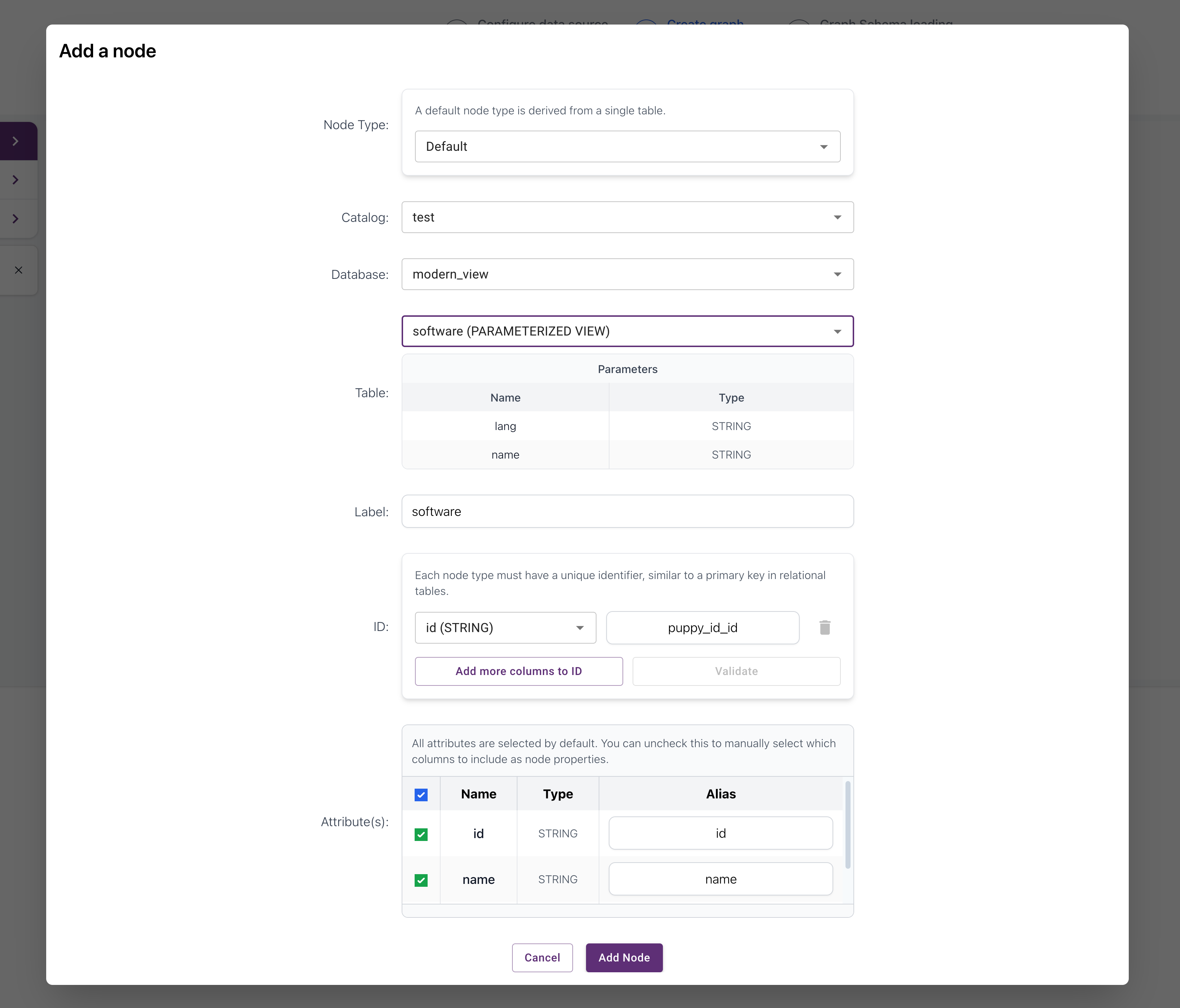 Schema Builder screen showing configuration of the software vertex from the software view