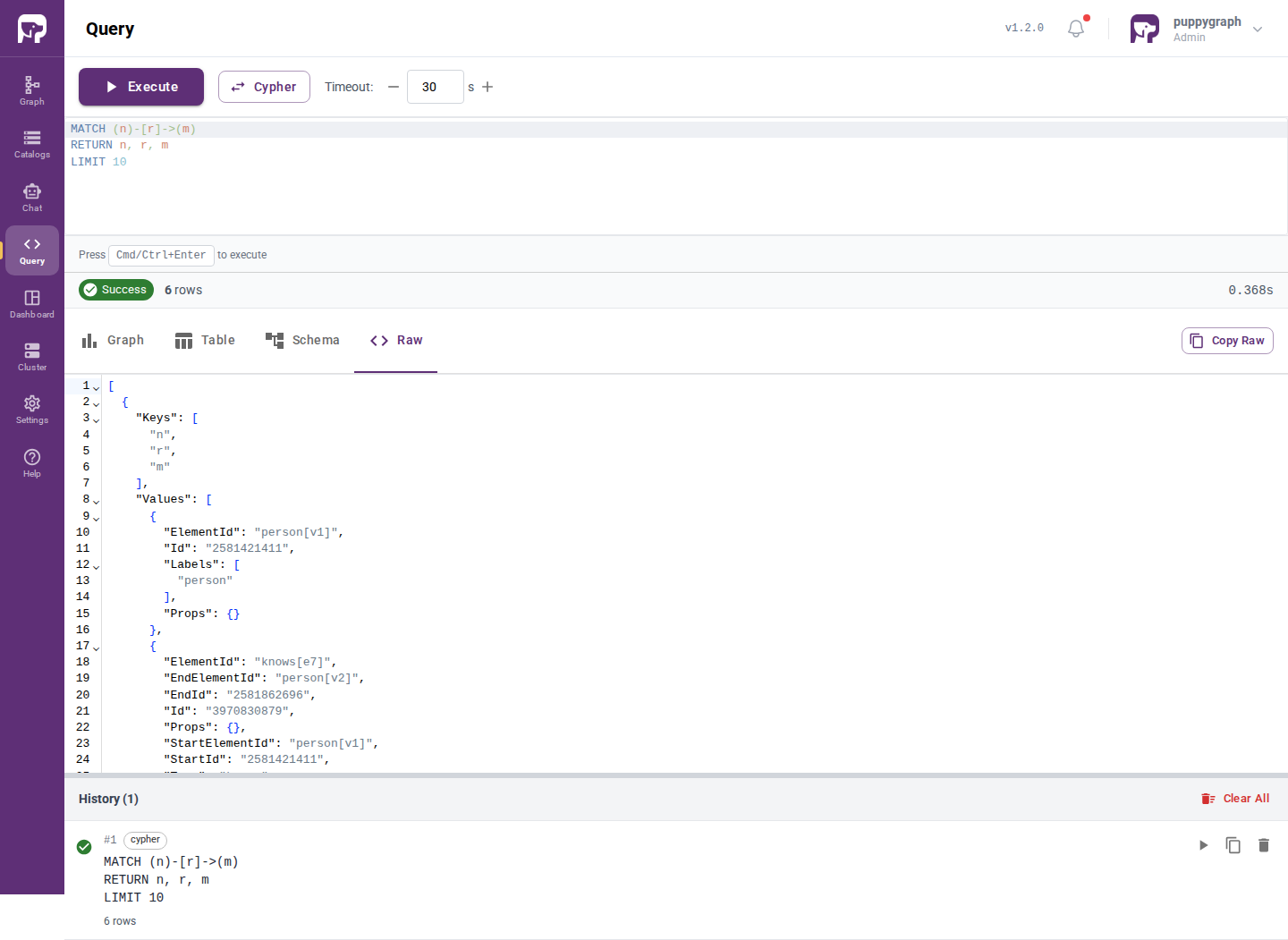 The same Cypher query result displayed in the Raw view